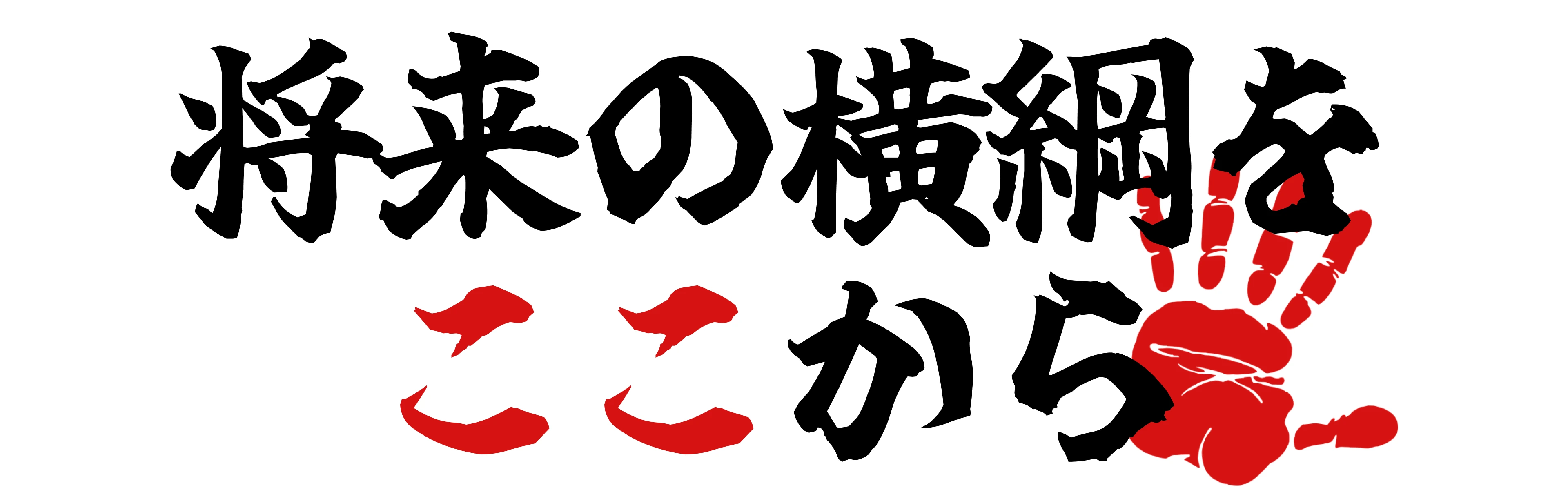 将来の横綱を、ここから。