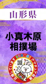小真木原相撲場バナー